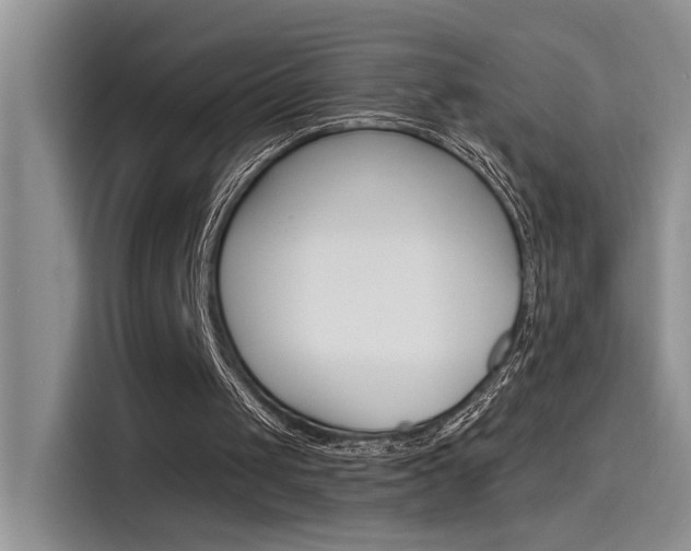 X0000115790049200911131034