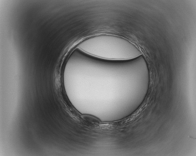 X0000115790050200911131034