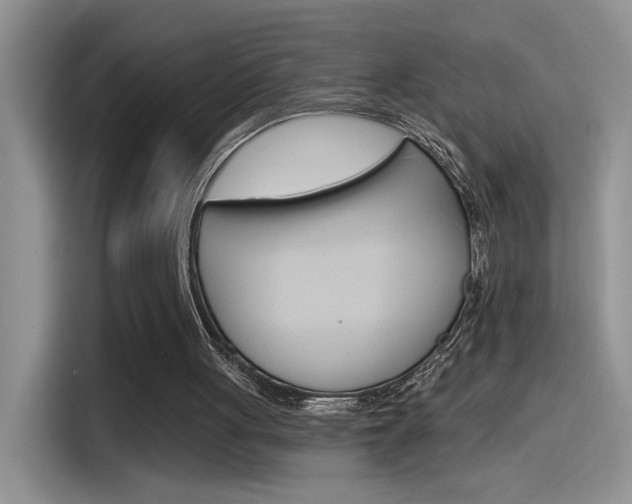 X0000115790051200911131034