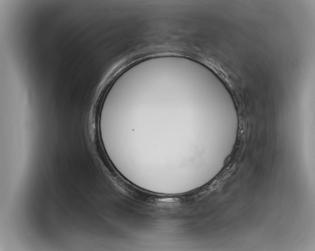 X0000115790053200911131034