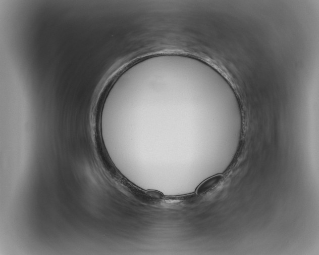 X0000115790055200911131034