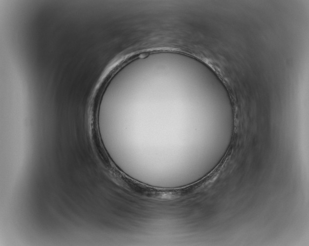 X0000115790056200911131034