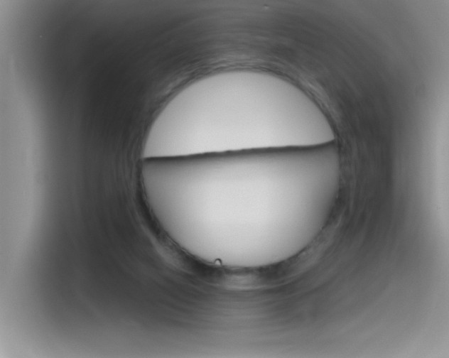 X0000115790066200911131035