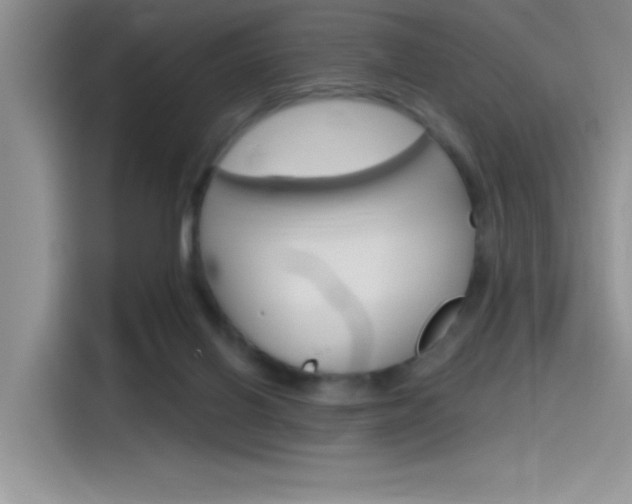 X0000115790070200911131035
