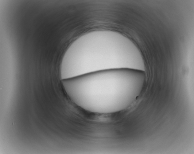 X0000115790078200911131035