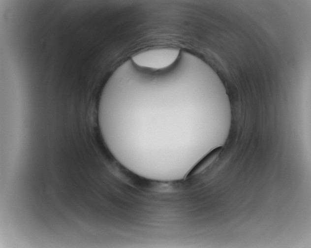 X0000115790083200911131035