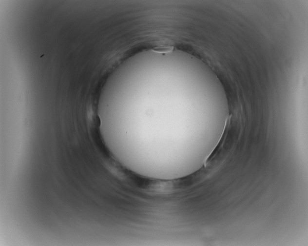 X0000115790084200911131035
