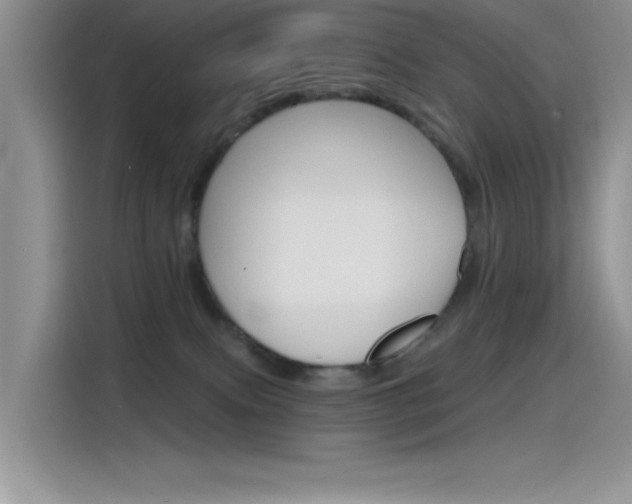 X0000115790087200911131035