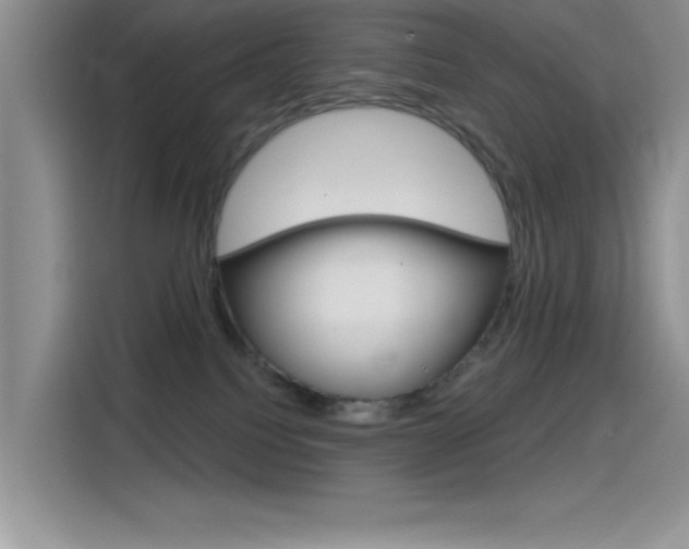 X0000115790088200911131035