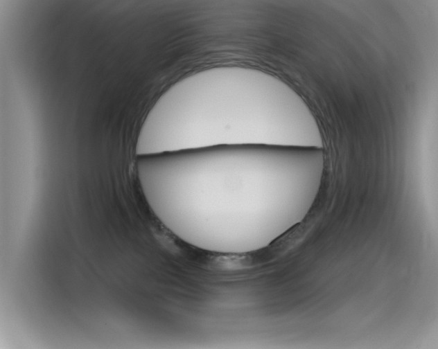 X0000115790089200911131035