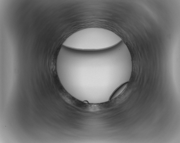 X0000115790091200911131035