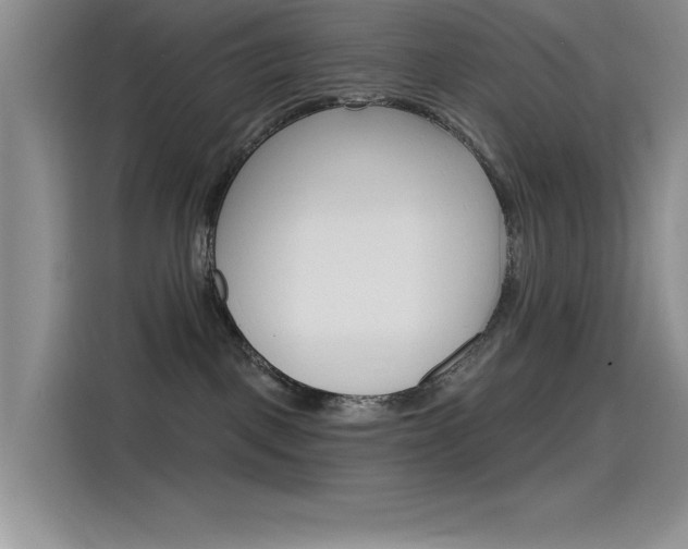 X0000115790093200911131035