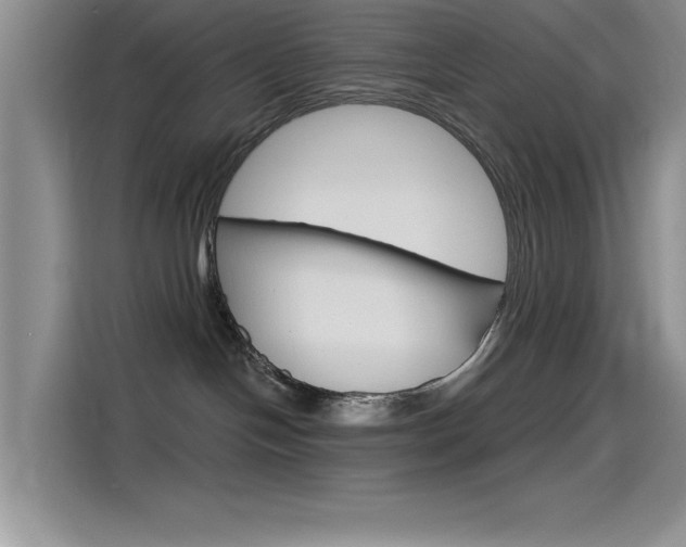 X0000115790094200911131035
