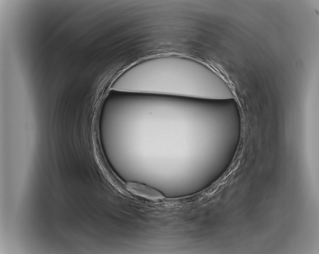 X0000115790097200911131034