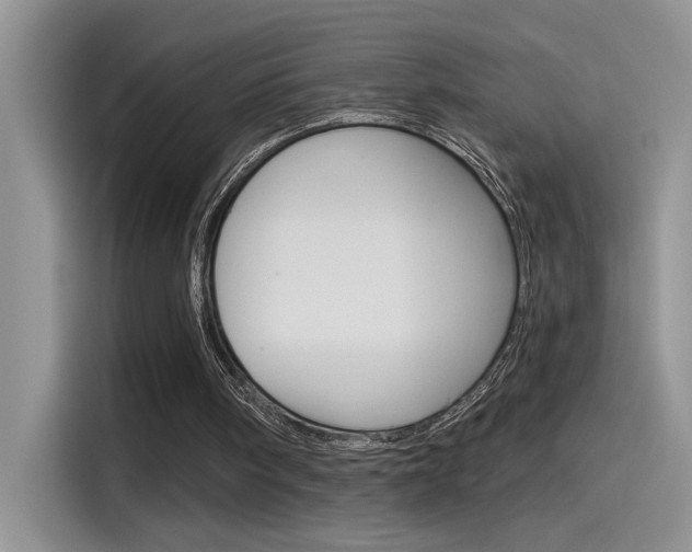 X0000115790098200911131034