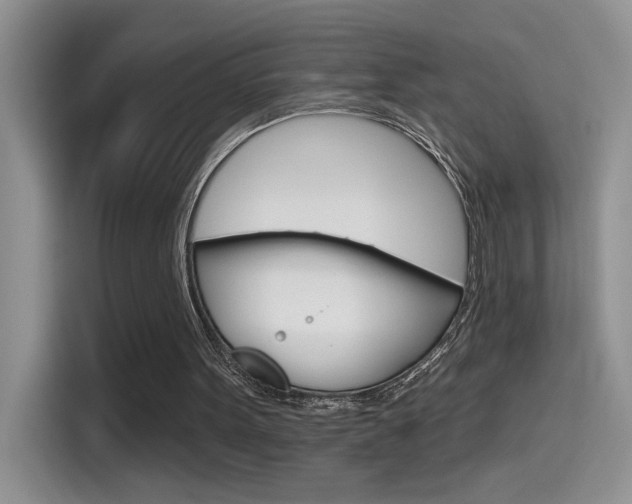 X0000115790099200911131034