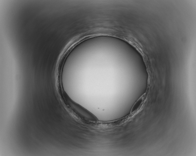 X0000115790101200911131034