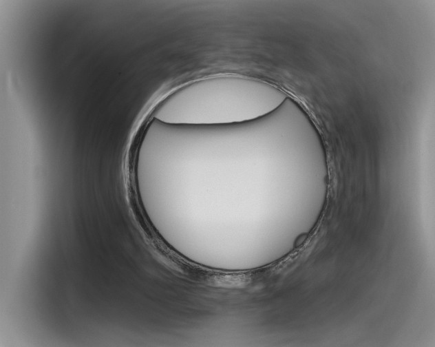 X0000115790102200911131034