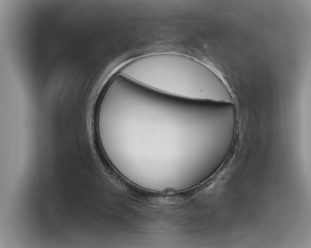 X0000115790103200911131034