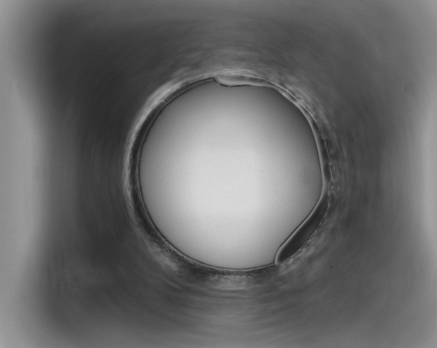 X0000115790104200911131034