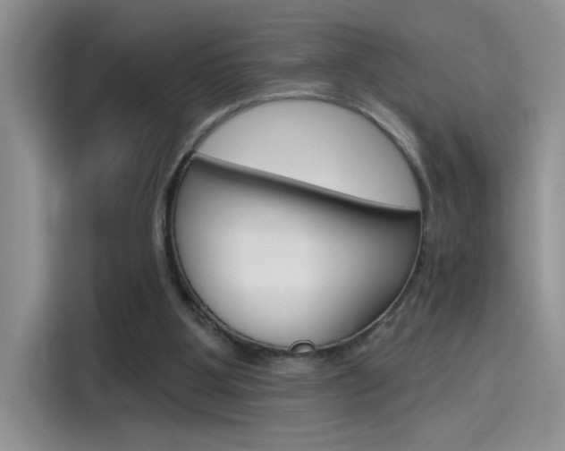X0000115790107200911131034