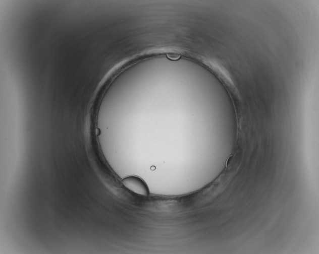 X0000115790108200911131034