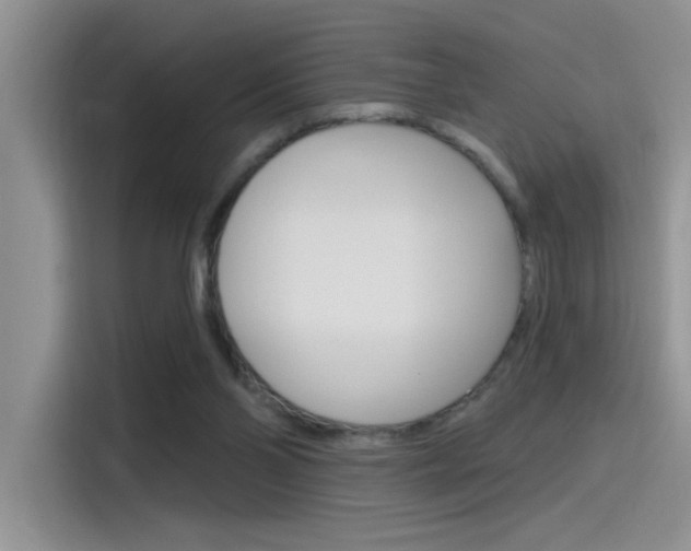 X0000115790110200911131034