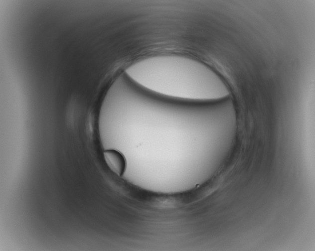 X0000115790115200911131034