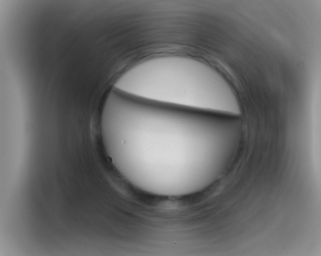 X0000115790119200911131034