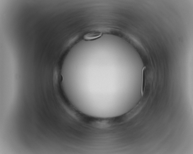 X0000115790120200911131034