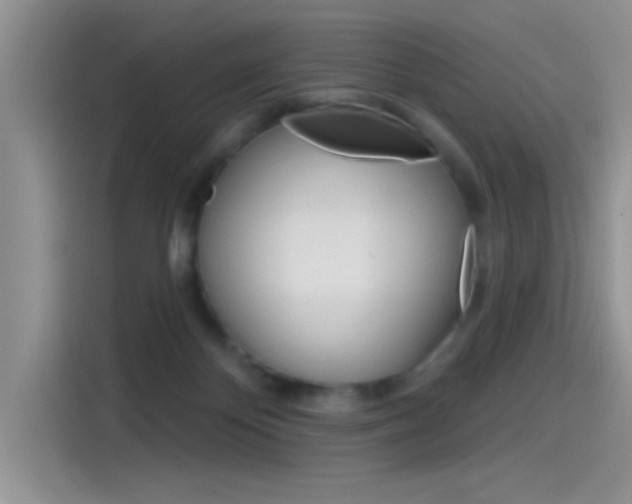 X0000115790124200911131034