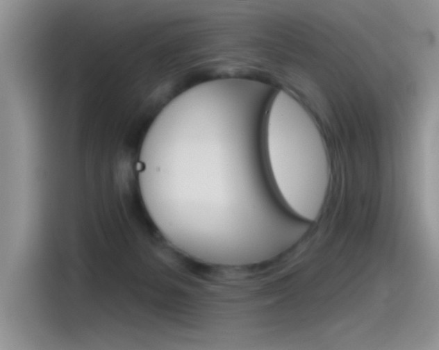 X0000115790127200911131034
