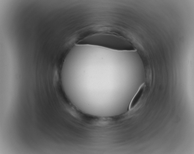 X0000115790128200911131034