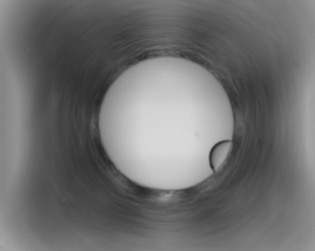 X0000115790130200911131034
