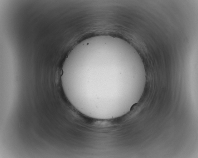 X0000115790133200911131034