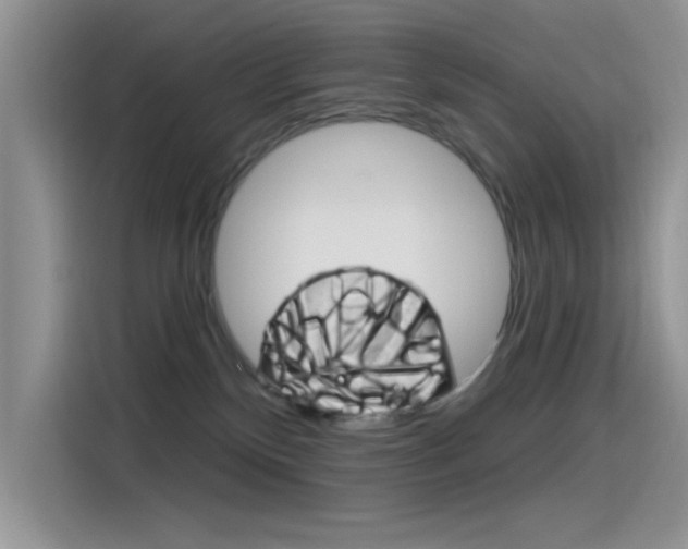 X0000115790136200911131034