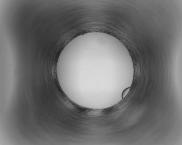 X0000115790138200911131034