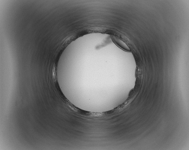 X0000115790143200911131034