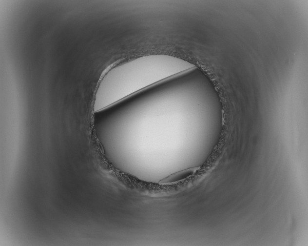 X0000115790144200911131034