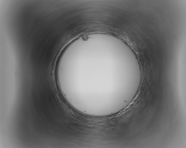 X0000115790146200911131033