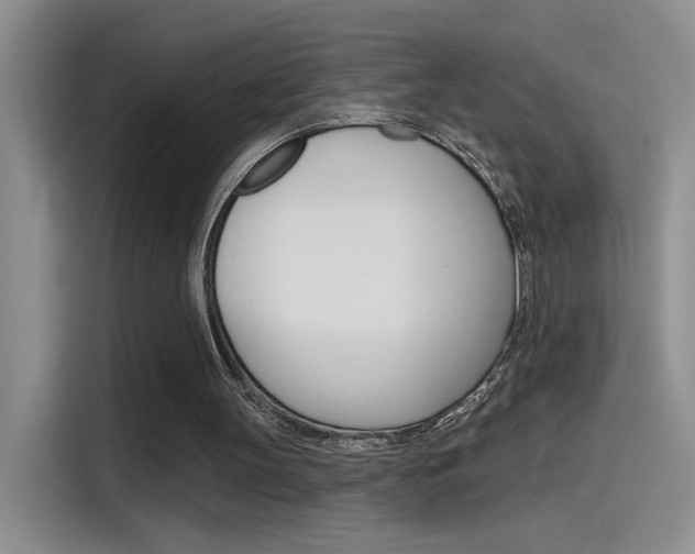 X0000115790147200911131033