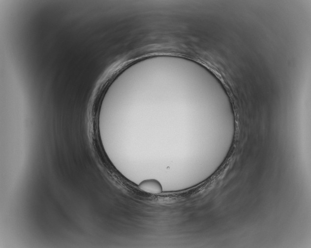 X0000115790149200911131033
