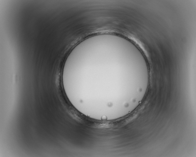 X0000115790153200911131033