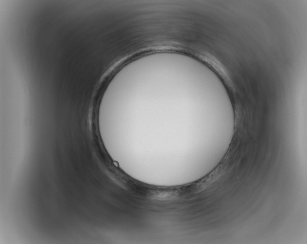 X0000115790155200911131033