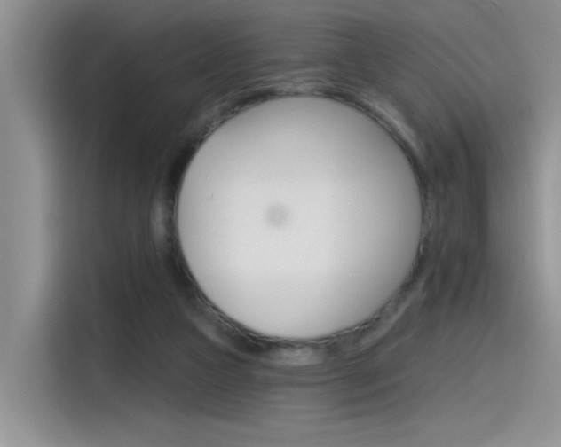 X0000115790161200911131033