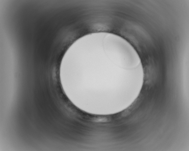 X0000115790162200911131033