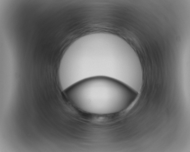 X0000115790174200911131033