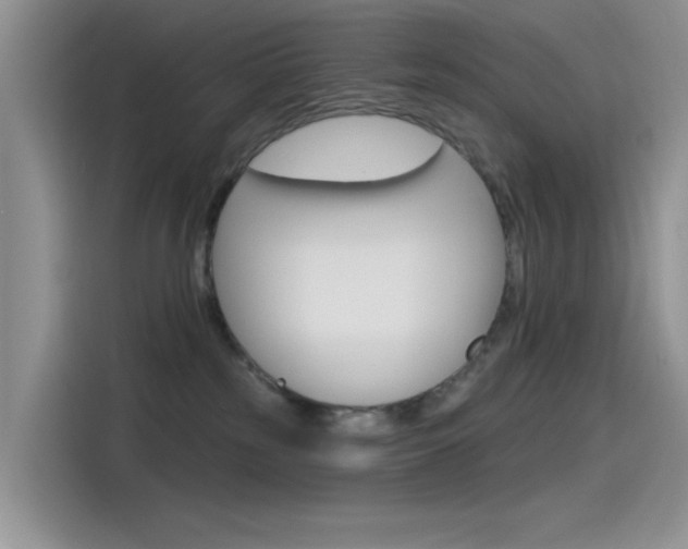 X0000115790185200911131034