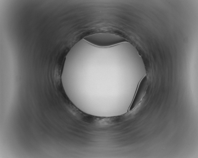 X0000115790186200911131034