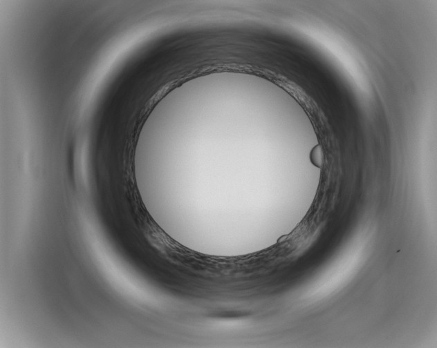 X0000115790189200911131034